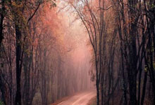 120万朵雪花、飘带状冰道……快来看亚冬会开幕式主会场央视新闻客户端.