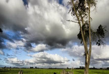 2025年世空联K1超级联赛杭州站开赛2025-03-15.