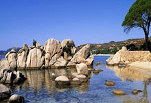 多多28体育：19人获颁美国总统自由勋章 梅西因行程冲突缺席.